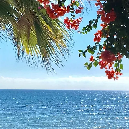 Apartment Mi Capricho Beachfront 401 - With Sea Views Costa Del Sol Sitio de Calahonda